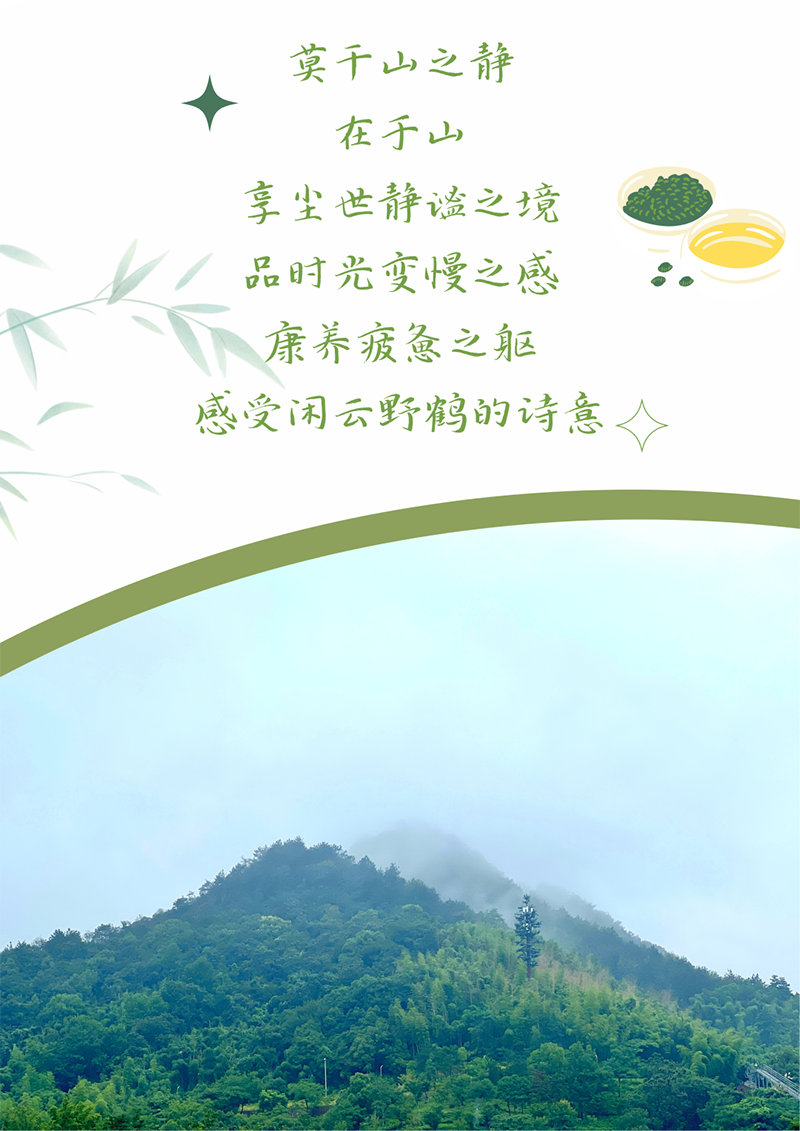 心心念廿 相伴z6尊龙官方网站 | 与德清相约 贺廿载诞辰
